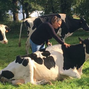 Ferme de Millé : lait, blé